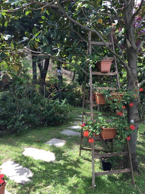 L'Acacia B&B ピエトラ・リーグレ エクステリア 写真